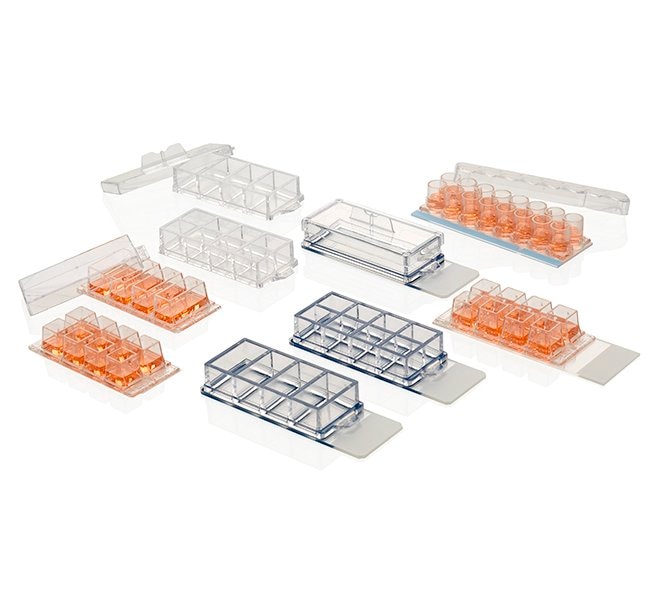 cell-culture-imaging