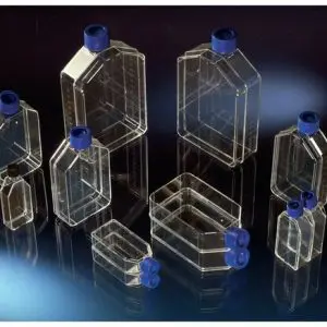 Cell Culture Treated Flask 25cm2 PK 160