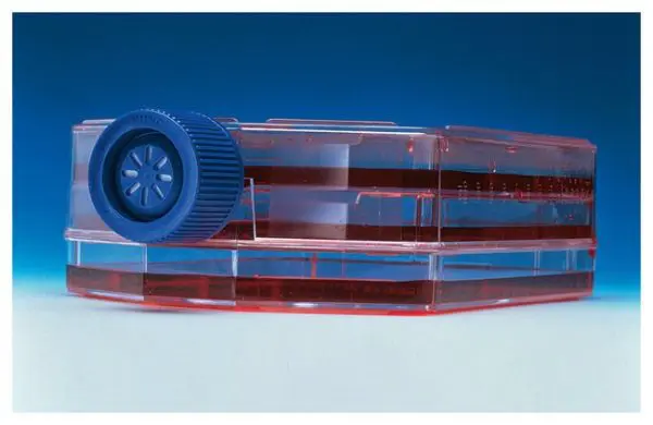 F11177-01p.eps-650-600x390.jpg