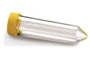 AYY4-300x200.jpg