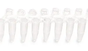 CEN5-300x173.jpg