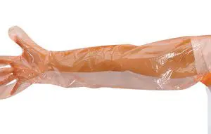 AN64-300x191.jpg