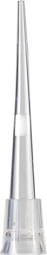 XR-10-SF-2.png