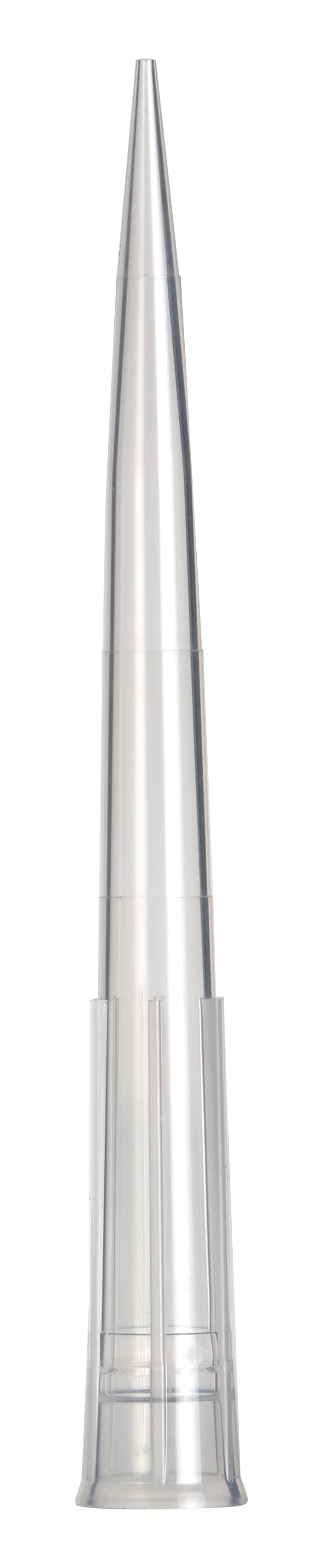 XRE-300-SL.png