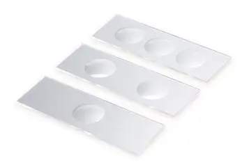 1LN6.jpg